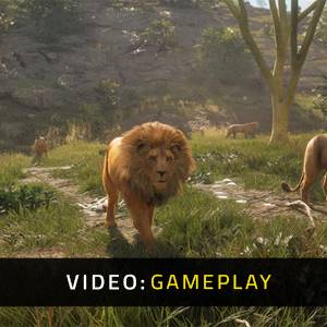 theHunter Call of the Wild Vurhonga Savanna - Video di Gioco