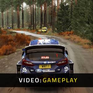 WRC 7 FIA World Rally Championship Video di Gioco